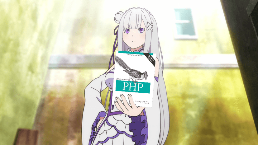 PHP: The Love-Hate Relationship of Developers